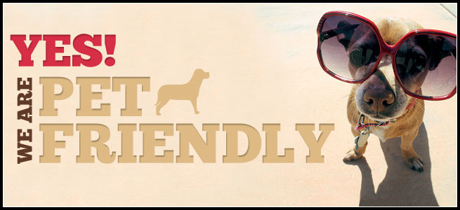 10 pitanja prije godišnjeg odmora sa ljubimcem